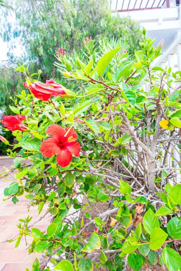 Vivienda Vacacional Sunny - Duplex Apartment 2Beds 2 Baths Costa Teguise Esterno foto
